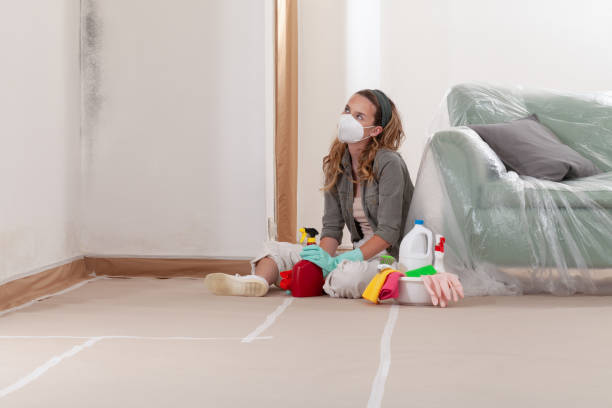 Reliable Bathroom Mold Removal contractor in Owings Mills, MD by WQB Mold Removal